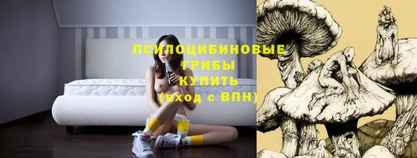 apvp Белоозёрский