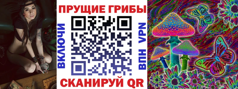 дарнет шоп Валуйки Галлюциногенные грибы прущие грибы
